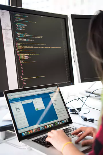 Web Design & Development